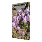 可愛い春 ミニクリップボード (アングル2)