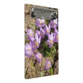 可愛い春 ミニクリップボード (アングル)