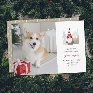 可愛い格言後悔  ペットのクリスマスフォト シーズンカード