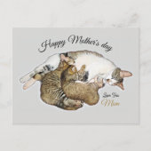 可愛い母猫と子猫カスタム シーズンポストカード (正面)