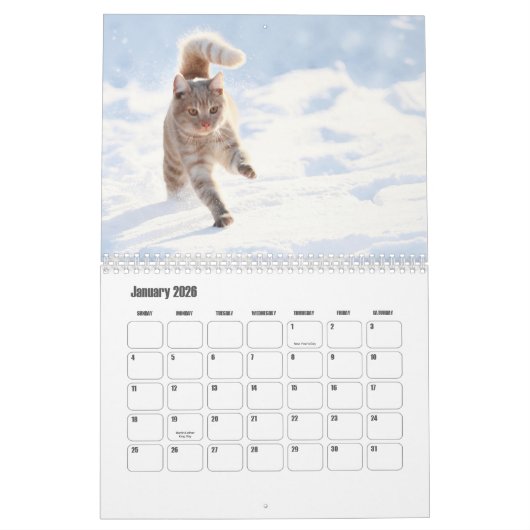 可愛い毛皮のプリン猫好きカレンダー カレンダー (1月 2026)