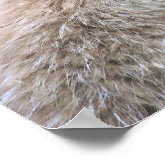 可愛い毛皮キツネオンブルーグランジ背景 ポスター (角)