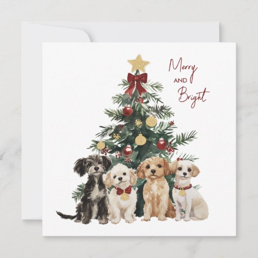 可愛い水の色メリー&明るい犬クリスマスカード シーズンカード (正面)