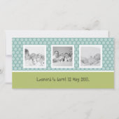 可愛い水玉模様 案内状 (正面)