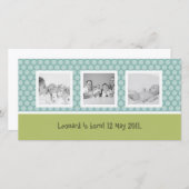 可愛い水玉模様 案内状 (正面/裏面)