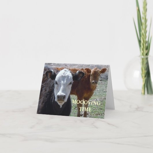 可愛い牛 – 住所の変更 案内状 (正面)