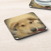 可愛い犬と子犬Mans第二最高のの友人.png コースター (左側)