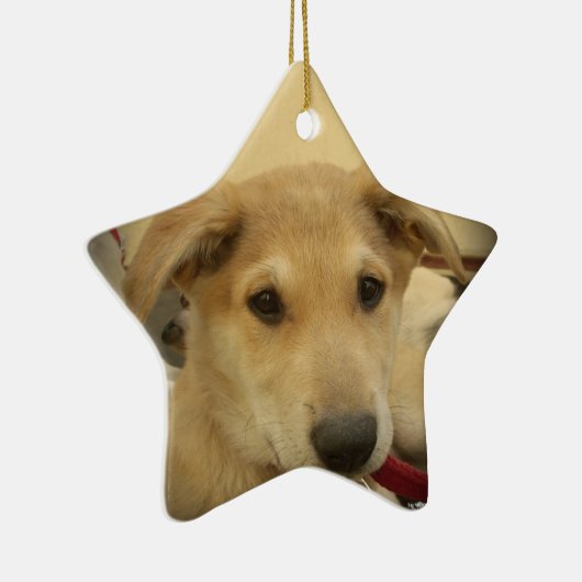 可愛い犬と子犬Mans第二最高のの友人.png セラミックオーナメント (右)