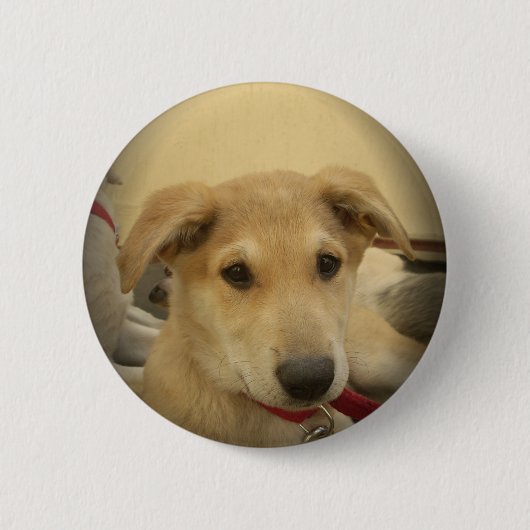 可愛い犬と子犬Mans第二最高のの友人.png 缶バッジ (正面)