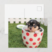 可愛い犬のマグカップ ポストカード (正面/裏面)