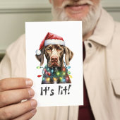 可愛い犬のモダン台本の水の色のクリおもしろいスマス シーズンカード