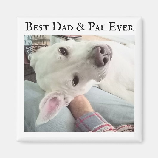 可愛い犬の写真最高のパパパルエバーブルーデニム マグネット (正面)