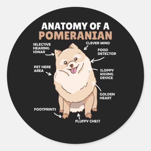 可愛い犬の子犬のポメラニア犬構造 ラウンドシール (正面)