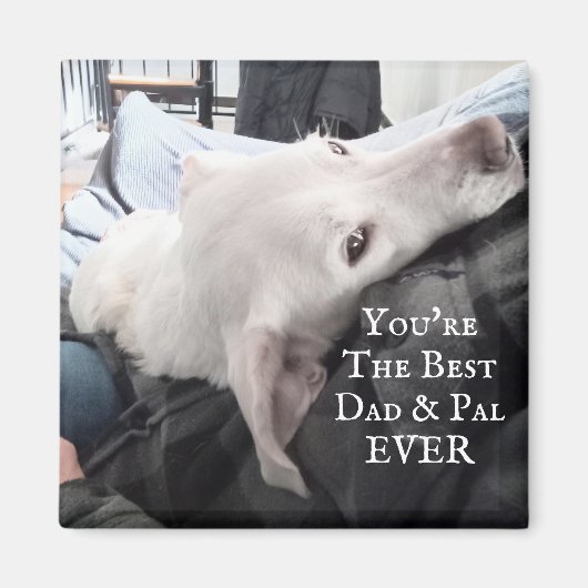 可愛い犬の最高のパパとパル・エバーの写真 マグネット (正面)