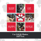 可愛い犬の睡眠リピーター動物好きの現代を食べる スクエア壁時計