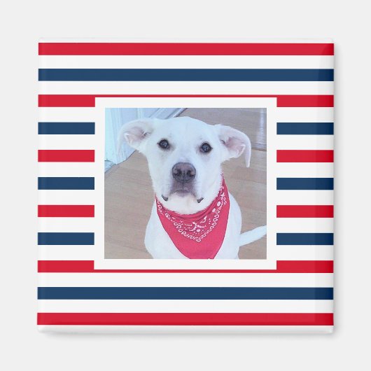 可愛い犬の赤白青ストライプ愛国の写真 マグネット (正面)