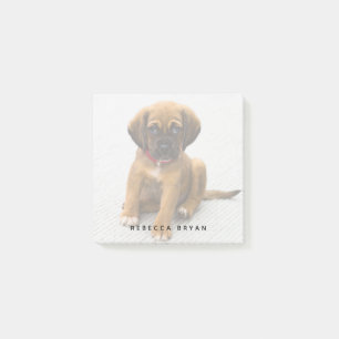 可愛い犬パーソナライズされた愛撮影 ポストイット