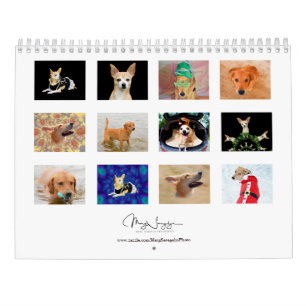 可愛い犬フォトアートデザイン2024月 カレンダー