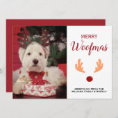 可愛い犬メリーのクリスマス写真 シーズンカード (正面/裏面)