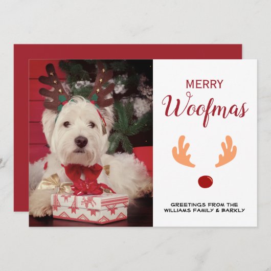 可愛い犬メリーのクリスマス写真 シーズンカード (正面/裏面)