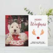 可愛い犬メリーのクリスマス写真 シーズンカード (スタンド正面)