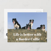 可愛い犬 ポストカード (正面/裏面)