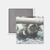 可愛い狼 マグネット (正面/裏面)