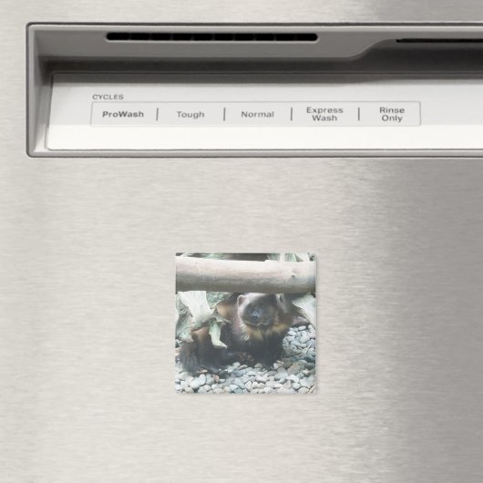 可愛い狼 マグネット (インサイチュ (食洗機))