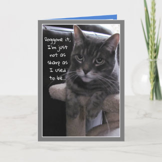 可愛い猫おもしろい誕生日カード カード