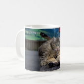 可愛い猫がグルーミング コーヒーマグカップ (正面左)