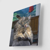 可愛い猫がグルーミング スクエア壁時計 (傾斜)