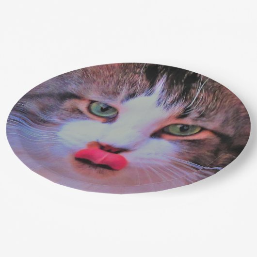 可愛い猫とピンク舌なめくり唇 ペーパープレート (アングル)