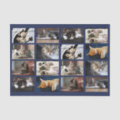 可愛い猫と子猫写真テンプレートオンネイビーブルー 薄葉紙 (正面)