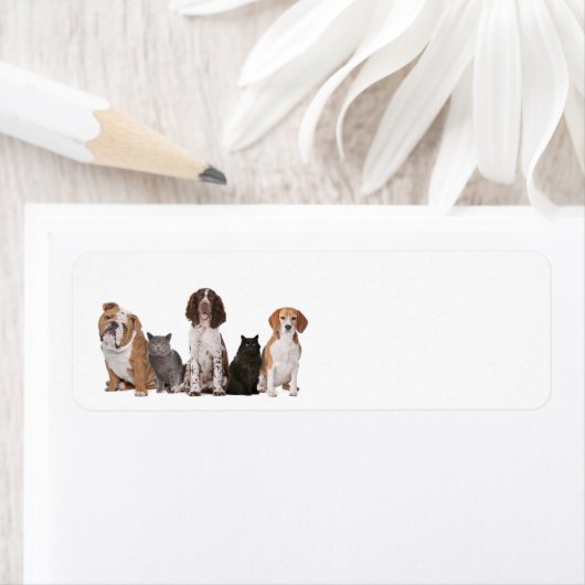 可愛い猫と犬 ラベル (インサイチュ)