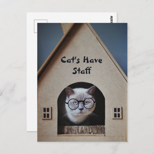 可愛い猫のおもしろいユーモア猫スタッフ引用文 ポストカード (正面/裏面)