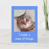 可愛い猫のおわび カード (正面)