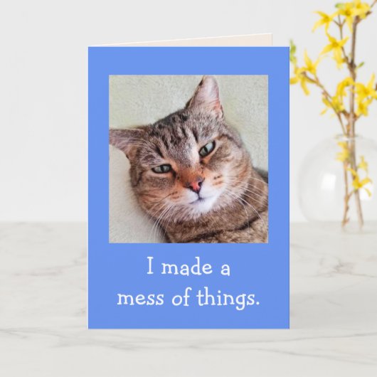 可愛い猫のおわび カード (黄色い花)