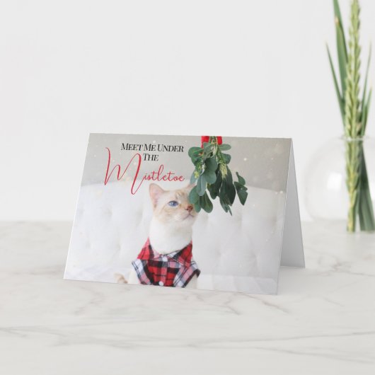 可愛い猫のクリスマスに爪先立ちで会う カード (正面)