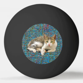 可愛い猫の抽象芸術 卓球ボール