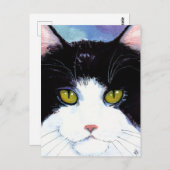 可愛い猫の黒と白のタキシードメインのクーンポストカード ポストカード (正面/裏面)