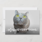 可愛い猫ひげフォトペットおもしろいMeowy シーズンカード (正面)