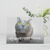 可愛い猫ひげフォトペットおもしろいMeowy シーズンカード (スタンド正面)