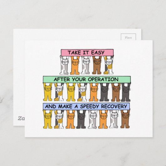 可愛い猫を飼い簡単した後に撮る ポストカード (正面/裏面)