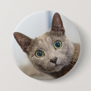 可愛い猫カスタムのペット写真ボタン 缶バッジ