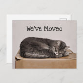 可愛い猫グレイ寝るオンボックス移動 ポストカード (正面/裏面)