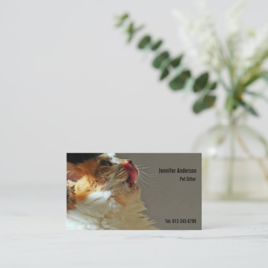 可愛い猫サンミ写真 名刺 (スタンド正面)