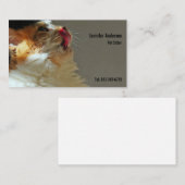 可愛い猫サンミ写真 名刺 (正面/裏面)