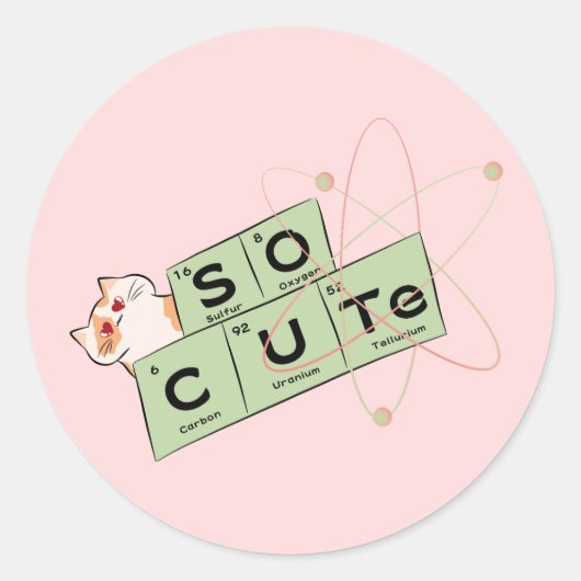 可愛い猫シール ラウンドシール (正面)