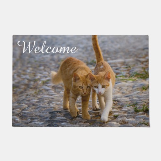 可愛い猫ネコちゃん友だち石の道Photo Welcome ドアマット (正面)
