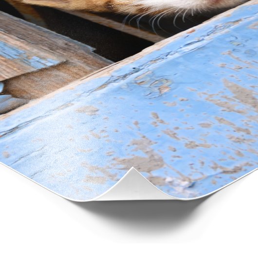 可愛い猫ネコのヴィンテージ窓紙印刷 フォトプリント (角)